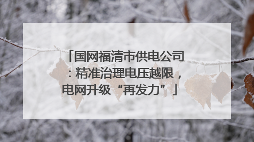 国网福清市供电公司：精准治理电压越限，电网升级“再发力”