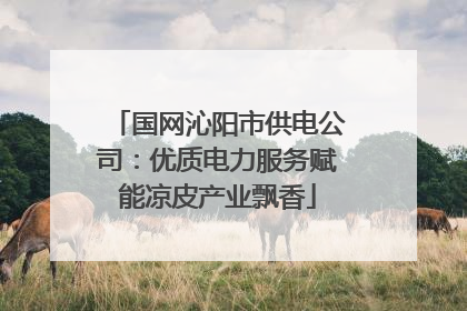国网沁阳市供电公司：优质电力服务赋能凉皮产业飘香