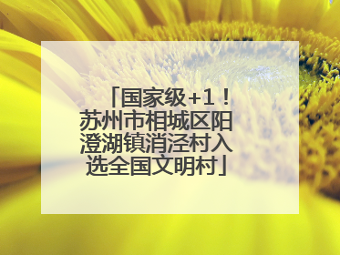 国家级+1！苏州市相城区阳澄湖镇消泾村入选全国文明村