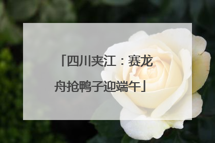 四川夹江：赛龙舟抢鸭子迎端午