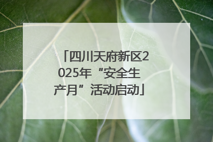 四川天府新区2025年“安全生产月”活动启动