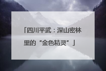 四川平武：深山密林里的“金色精灵”