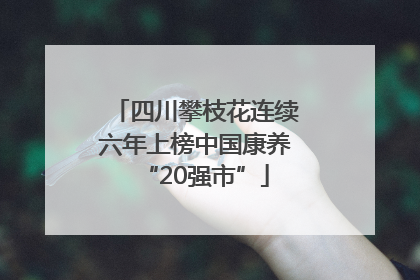 四川攀枝花连续六年上榜中国康养“20强市”