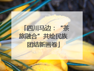 四川马边：“茶旅融合”共绘民族团结新画卷