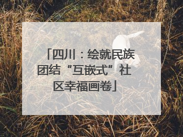 四川：绘就民族团结“互嵌式”社区幸福画卷