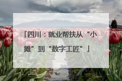 四川：就业帮扶从“小摊”到“数字工匠”