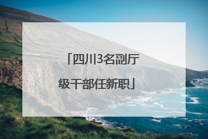 四川3名副厅级干部任新职