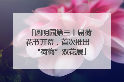 圆明园第三十届荷花节开幕，首次推出“荷梅”双花展