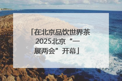 在北京品饮世界茶 2025北京“一展两会”开幕