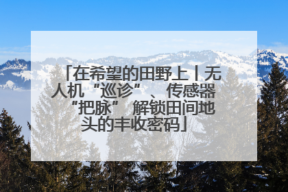 在希望的田野上丨无人机“巡诊”、传感器“把脉” 解锁田间地头的丰收密码