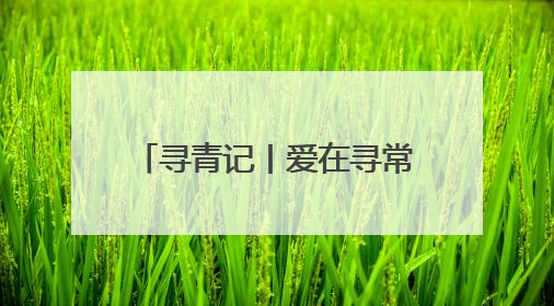 寻青记丨爱在寻常巷陌间！在青岛走街串巷，找寻历史、文艺、爱情……