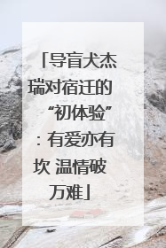 导盲犬杰瑞对宿迁的“初体验”：有爱亦有坎 温情破万难