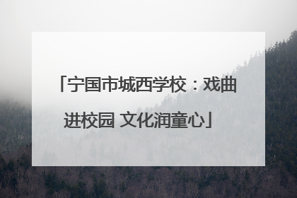 宁国市城西学校：戏曲进校园 文化润童心