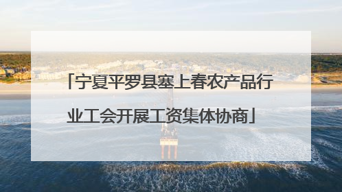 宁夏平罗县塞上春农产品行业工会开展工资集体协商