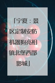 宁夏：景区定制安防机器狗亮相镇北堡西部影城