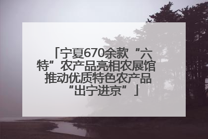 宁夏670余款“六特”农产品亮相农展馆 推动优质特色农产品“出宁进京”