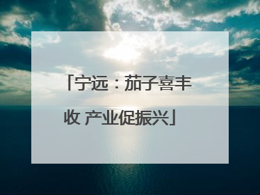 宁远：茄子喜丰收 产业促振兴