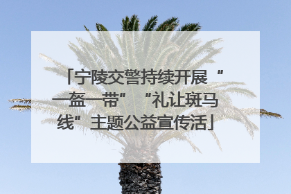 宁陵交警持续开展“一盔一带”“礼让斑马线”主题公益宣传活