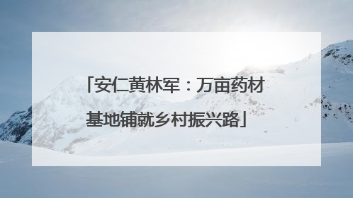安仁黄林军：万亩药材基地铺就乡村振兴路