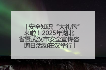 安全知识“大礼包”来啦！2025年湖北省暨武汉市安全宣传咨询日活动在汉举行
