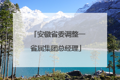 安徽省委调整一省属集团总经理