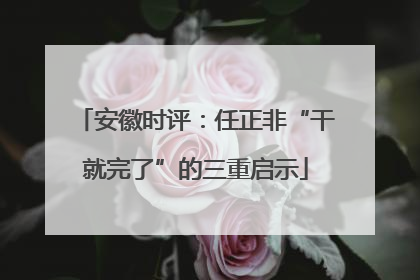 安徽时评：任正非“干就完了”的三重启示