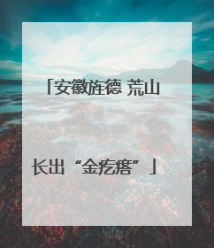 安徽旌德 荒山长出“金疙瘩”