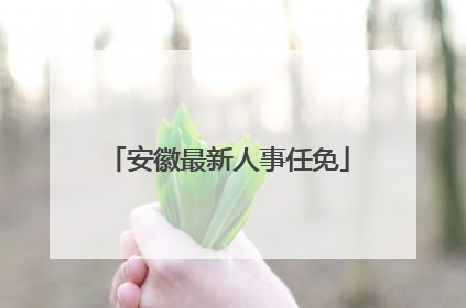 安徽最新人事任免