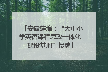 安徽蚌埠：“大中小学英语课程思政一体化建设基地”授牌