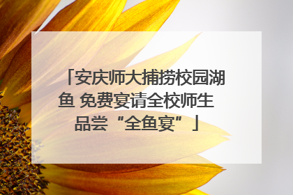 安庆师大捕捞校园湖鱼 免费宴请全校师生品尝“全鱼宴”