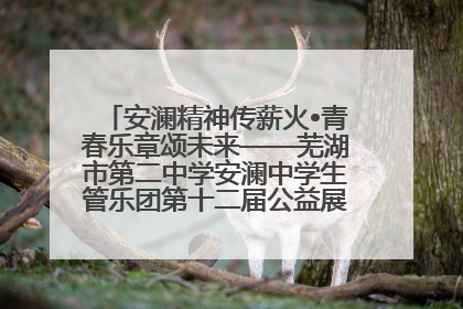 安澜精神传薪火•青春乐章颂未来——芜湖市第二中学安澜中学生管乐团第十二届公益展演圆满举行
