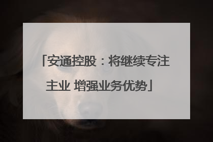 安通控股：将继续专注主业 增强业务优势