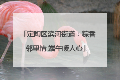 定陶区滨河街道：粽香邻里情 端午暖人心