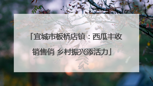 宜城市板桥店镇：西瓜丰收销售俏 乡村振兴添活力