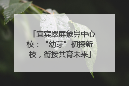 宜宾翠屏象鼻中心校：“幼芽”初探新枝，衔接共育未来