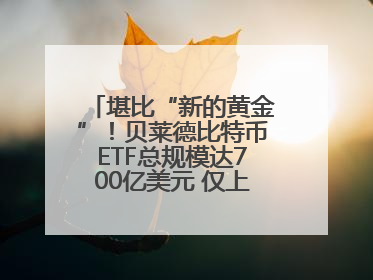 堪比“新的黄金”！贝莱德比特币ETF总规模达700亿美元 仅上市一年多