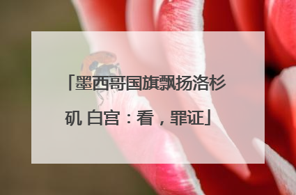 墨西哥国旗飘扬洛杉矶 白宫：看，罪证