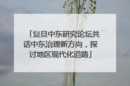 复旦中东研究论坛共话中东治理新方向，探讨地区现代化道路
