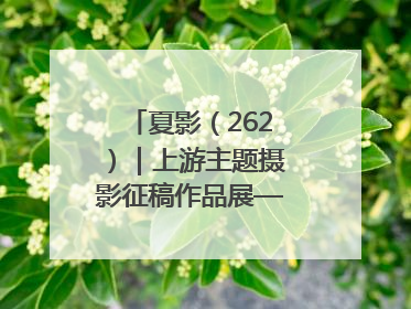 夏影（262）｜上游主题摄影征稿作品展——黄红专作品