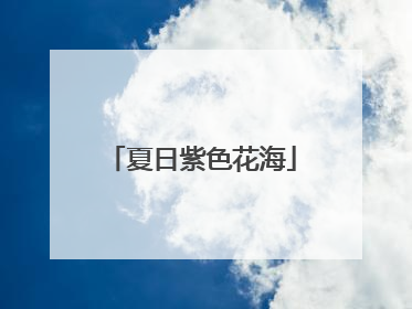 夏日紫色花海