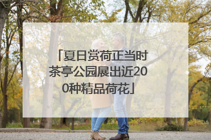 夏日赏荷正当时 茶亭公园展出近200种精品荷花