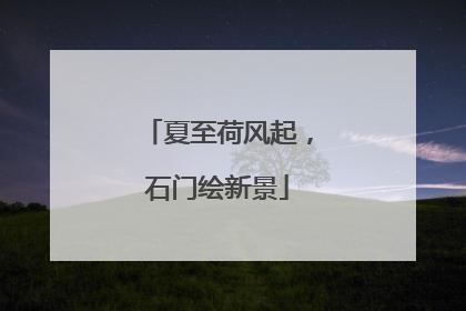 夏至荷风起，石门绘新景