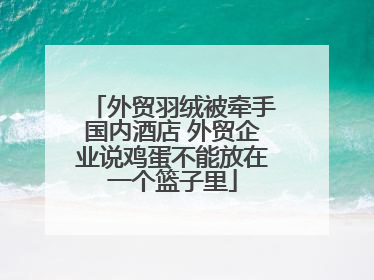 外贸羽绒被牵手国内酒店 外贸企业说鸡蛋不能放在一个篮子里