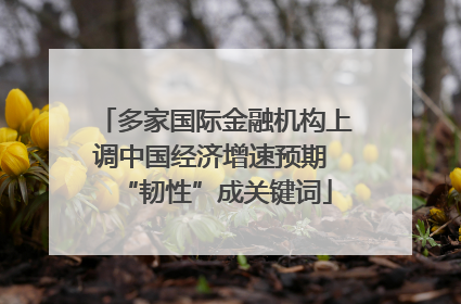 多家国际金融机构上调中国经济增速预期 “韧性”成关键词