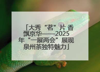 大秀“茗”片 香飘京华——2025年“一展两会”展现泉州茶独特魅力