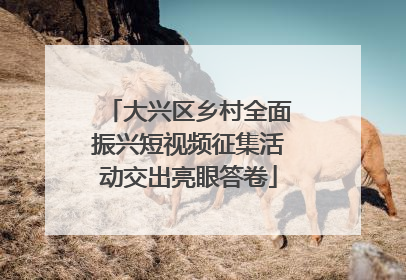 大兴区乡村全面振兴短视频征集活动交出亮眼答卷