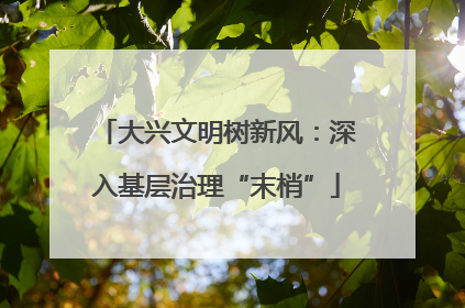 大兴文明树新风：深入基层治理“末梢”