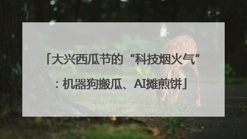 大兴西瓜节的“科技烟火气”：机器狗搬瓜、AI摊煎饼