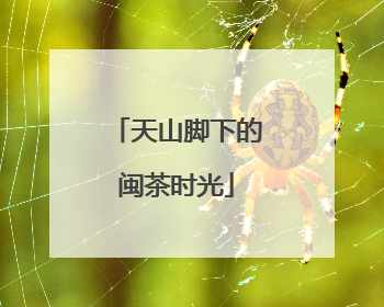 天山脚下的闽茶时光
