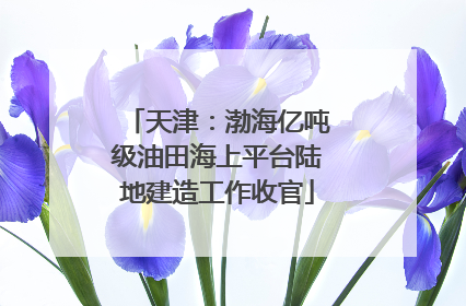 天津：渤海亿吨级油田海上平台陆地建造工作收官